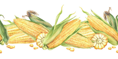 Golden maize cobs seamless border Yellow sweet cut and whole corncob, kernel of corn. Watercolor realistic vegetables food pattern. Hand drawn illustration for food labelling Isolated from background