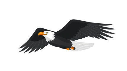 Fototapeta premium Eagle in Flight with Outstretched Wings Showcasing Stunning Feathers and Graceful Movement Against a Clean Background