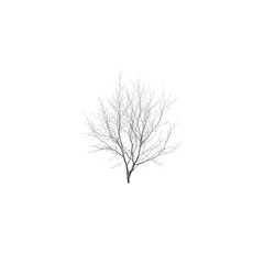 Isolated Snowy Winter Bush, Frost-Covered Branches on Transparent Background