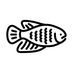Gourami outline icon. Gourami fish side view black line illustration.
