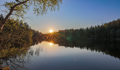 summer landscape with lake