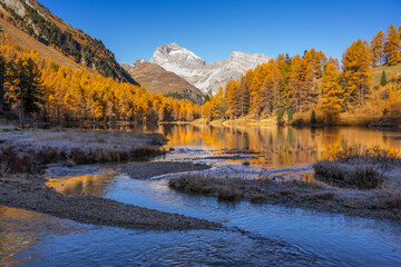Scenic view of Lake Palpuogna in autumn with mountains and forest in Graub�nden, Switzerland