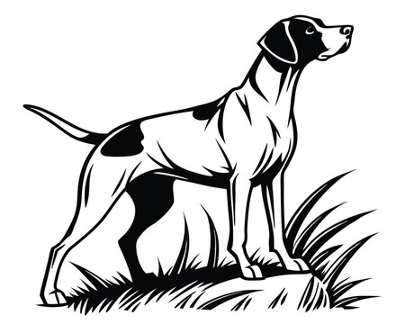 Elegant english pointer dog vector illustration standing proudly in black and white design style art