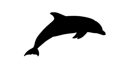 Fototapeta premium Elegant Silhouette of a Dolphin Leaping Vector Illustration