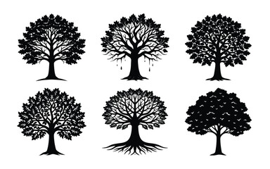 bundle of oak tree silhouette on white BG
