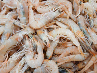 Fresh shrimps piled up at the fish market displaying culinary delights