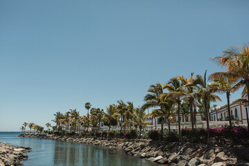 Obraz premium Coastal View with Palm Trees and Waterfront