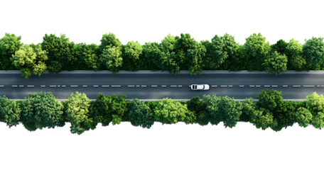 Scenic highway drive through lush green forest isolated on a white background