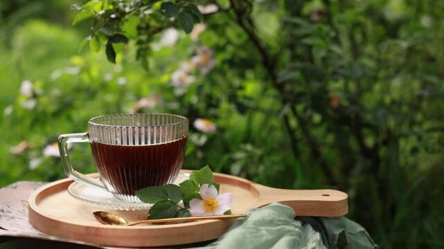 A beautifully composed outdoor video featuring a glass cup of black coffee on a wooden tray, surrounded by lush greenery and soft green fabric. The warm tones and cozy, cottage core 