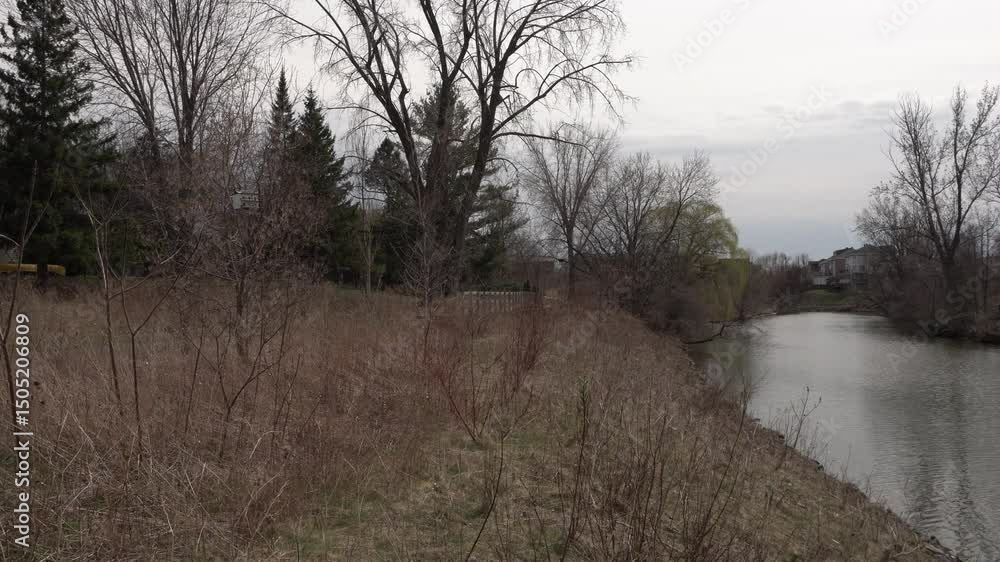Poster you can see a calm and peaceful river with conifers and leafless trees at the beginning of spring. t