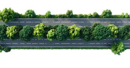 Aerial view two lane road lush trees isolated on a white background