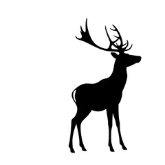  Majestic Silhouette: The imposing silhouette of a stag deer, with its magnificent antlers. A symbol of wilderness. 