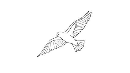 Obraz premium flying bird vector