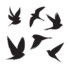 Obraz premium bird in flight silhouette set, Black & White silhouette set 