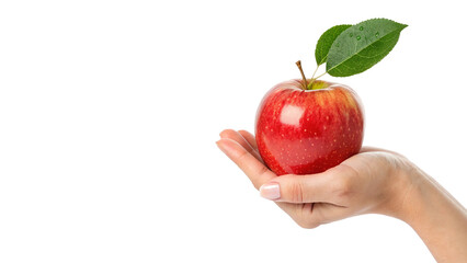 Hand holding apple fruit isolated on transparent background