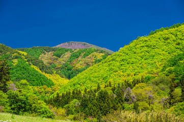 Obraz premium 新緑の山と青空 松本市