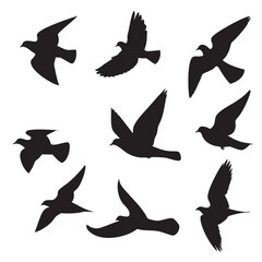 birds flying silhouette set, Black & White silhouette set