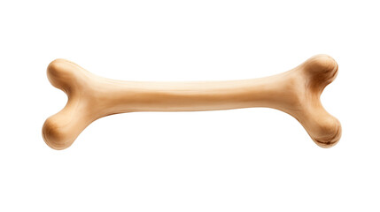 Detailed Closeup of a Light Brown Wooden Bone on white and transparent Background