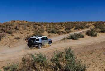 Off-Road SUV Driving Through Dusty Desert Trail with Bushes Under Bright Blue Sky Adventure Scene