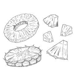 Pineapple pieces and slices sketch. Set of ink sketches. Hand drawn vector illustration.