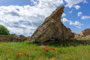 Particolari del Parco archeologico di Nora, in Sardegna 