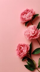 Pink flowers with green leaves on a pink background