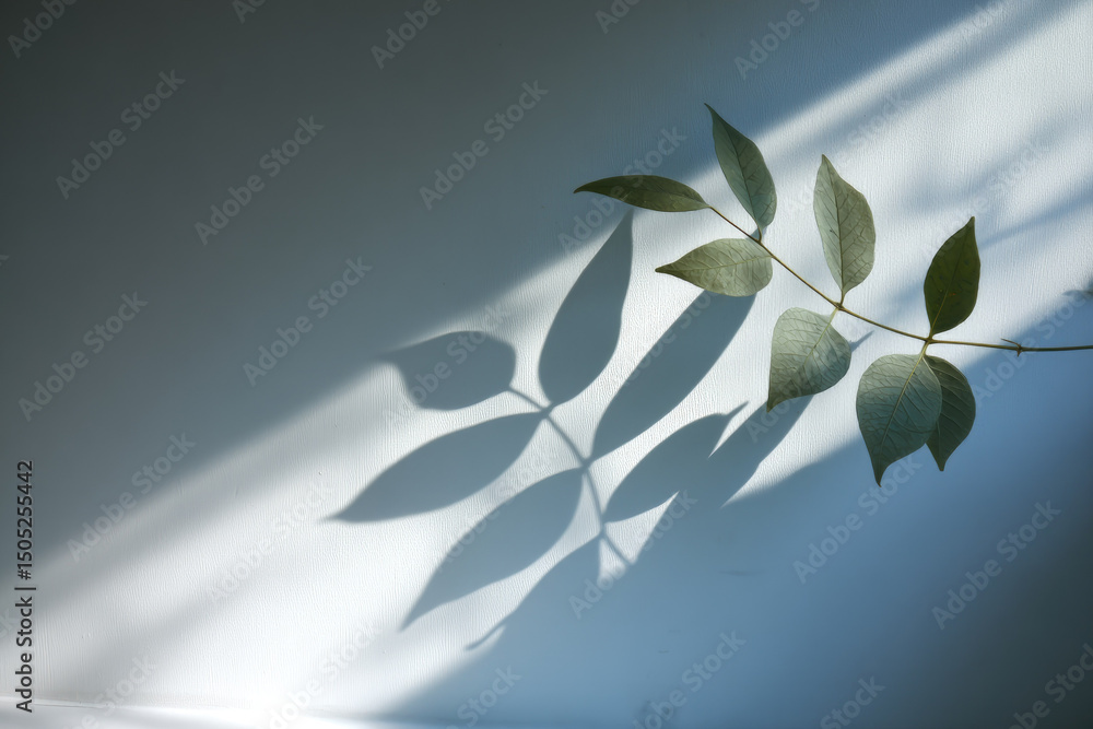 Poster delicate branch with green leaves casts soft shadow on smooth, light background, creating serene and