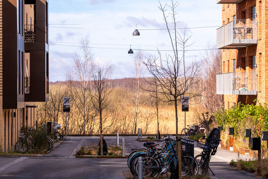 Quiet residential street in Ørestad, Copenhagen with brick buildings, trees, and parked bicycles, ideal for urban lifestyle, architecture, and residential design stock.