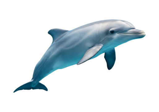 Digitally rendered dolphin in a vibrant, colorful scene against a red structure. A graphic and playful display.