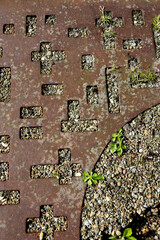 Plaque de propreté au pied d'un arbre en fonte
