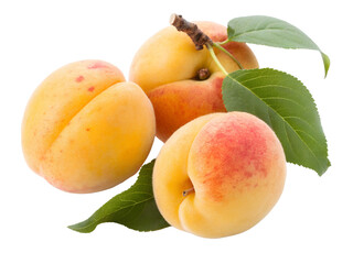 Fresh Apricots with Green Leaves Still Life Isolated on transparent background, Isolated Png file, Cut-out, Isolate Png, No Background, Isolated object