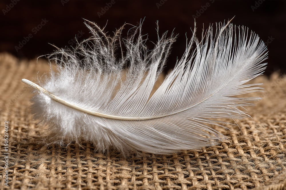 Poster delicate white feather resting on burlap fabric under soft natural light enhancing its texture and d
