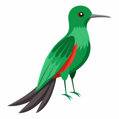 Fototapeta premium Realistic full-body illustration of the rare Honduran Emerald bird on a white background, perfect for wildlife and nature-themed digital projects.