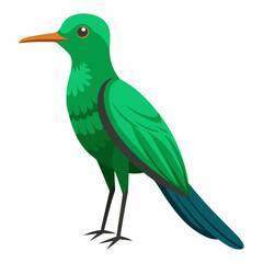 Obraz premium Realistic full-body illustration of the rare Honduran Emerald bird on a white background, perfect for wildlife and nature-themed digital projects.