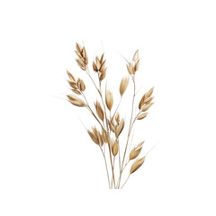 Fototapeta premium Golden Oats A Harvest of Nature's Bounty