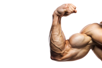 Muscular arm flexed isolated on white background png ai generated isolated on a white background