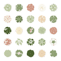 hand drawn cartoon illustration of top view tree.