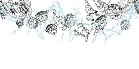Raspberry flying in water splash with leaves, dew drops hand drawn in vector ink. Ripe summer garden forest berry loganberry mulberry. Isolated seamless banner. Home preserves, stationery, recipe book