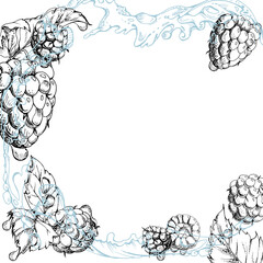 Raspberry berries leaves flying in dew drops, water splash, ripe garden dewberry cloudberry mulberry loganberry hand drawn in vector ink. Isolated border square corner frame. Farmers market stationery