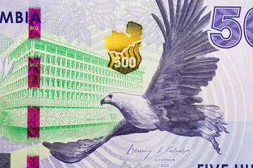 Flying African Fish Eagle from Zambian money