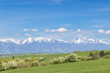 Western Tatras (Rohace) in spring time, Slovakia