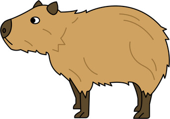 Capybara