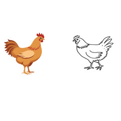 Vector art of a domestic chicken in flat style.

