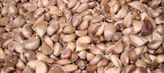 Fresh garlic for cooking. Garlic for background.