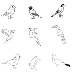 Black and White Happy Birds Vector