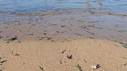 Gentle waves roll onto the shore with reflections of people walking and playing, capturing peaceful beachside activity at golden hour.
