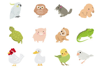 Whimsical Parrot, Sloth & Reptile Illustrations in Soft Tones for Nursery Wall Art