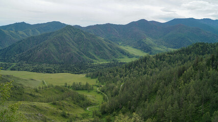 Fototapeta premium green Altai mountains in summer