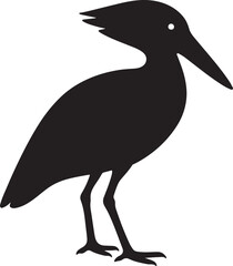 a hammerkop vector