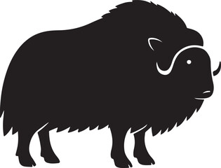 a musk ox